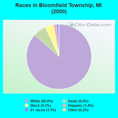 Races in Bloomfield Township, MI (2000)