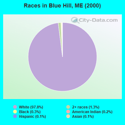 Races in Blue Hill, ME (2000)