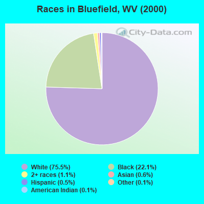 Races in Bluefield, WV (2000)