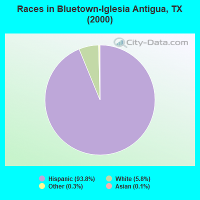 Races in Bluetown-Iglesia Antigua, TX (2000)