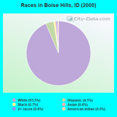 Races in Boise Hills, ID (2000)