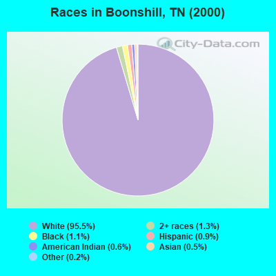 Races in Boonshill, TN (2000)