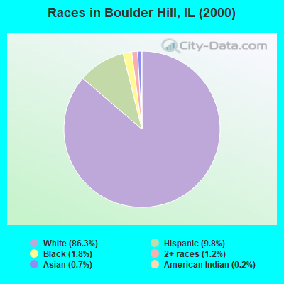 Races in Boulder Hill, IL (2000)