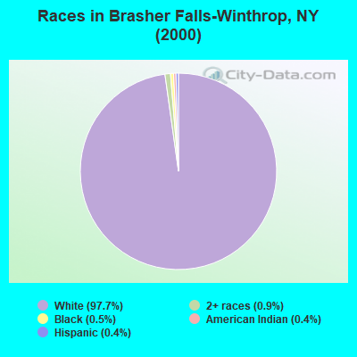 Races in Brasher Falls-Winthrop, NY (2000)