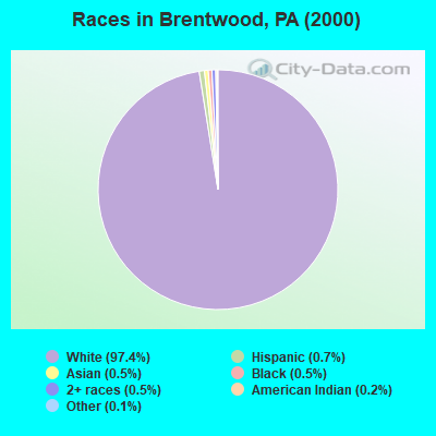Races in Brentwood, PA (2000)