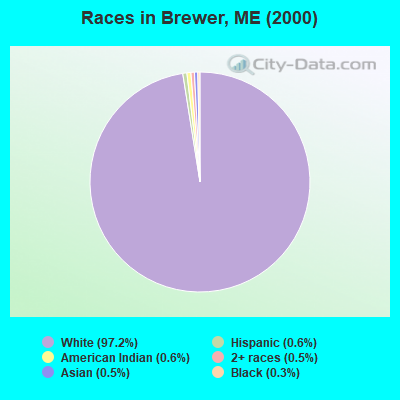 Races in Brewer, ME (2000)