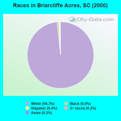 Races in Briarcliffe Acres, SC (2000)