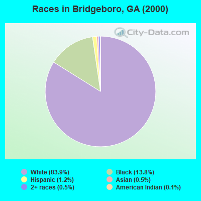 Races in Bridgeboro, GA (2000)
