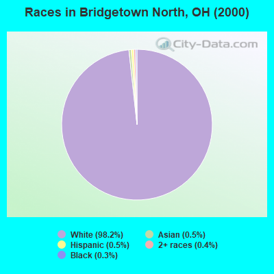 Races in Bridgetown North, OH (2000)