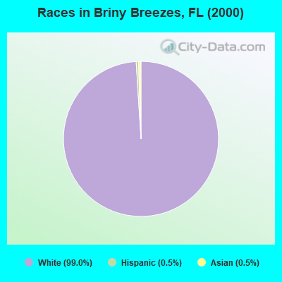 Races in Briny Breezes, FL (2000)