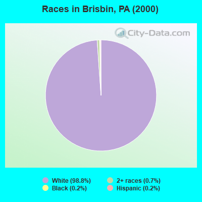 Races in Brisbin, PA (2000)