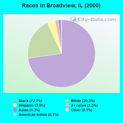 Races in Broadview, IL (2000)