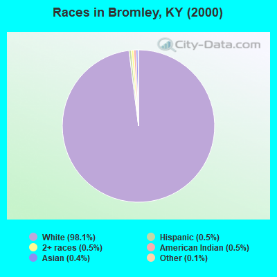 Races in Bromley, KY (2000)