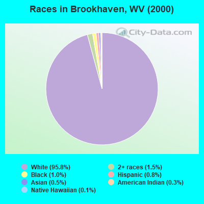 Races in Brookhaven, WV (2000)