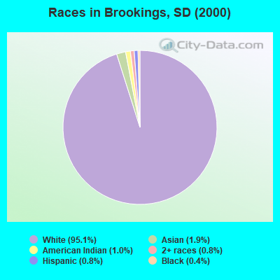 Races in Brookings, SD (2000)