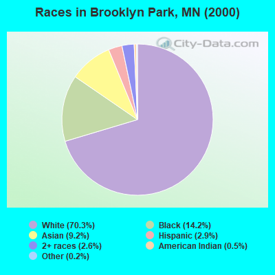 Races in Brooklyn Park, MN (2000)