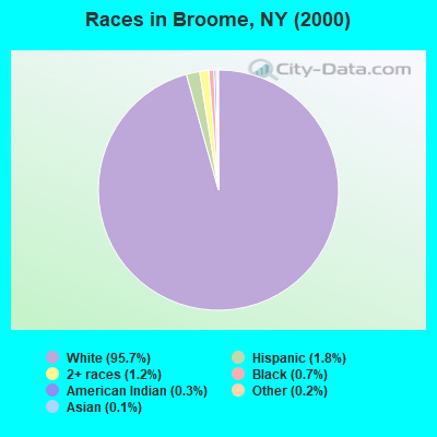 Races in Broome, NY (2000)