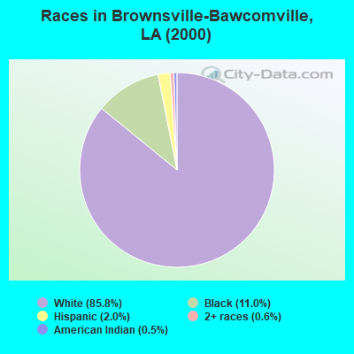 Races in Brownsville-Bawcomville, LA (2000)
