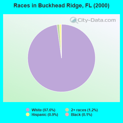 Races in Buckhead Ridge, FL (2000)