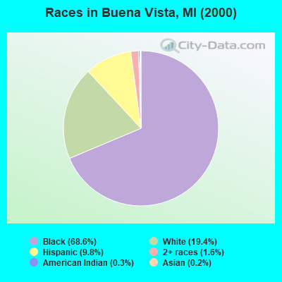 Races in Buena Vista, MI (2000)