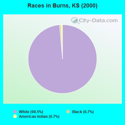 Races in Burns, KS (2000)