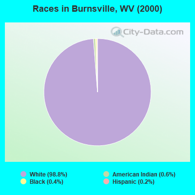 Races in Burnsville, WV (2000)