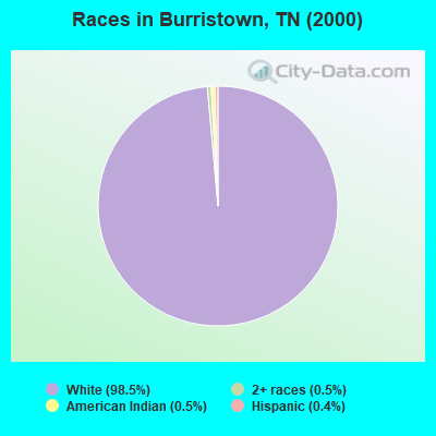 Races in Burristown, TN (2000)