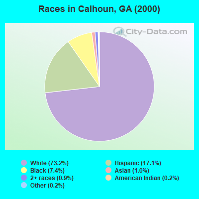 Races in Calhoun, GA (2000)