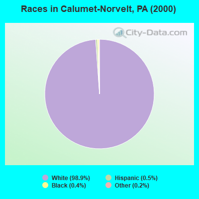 Races in Calumet-Norvelt, PA (2000)