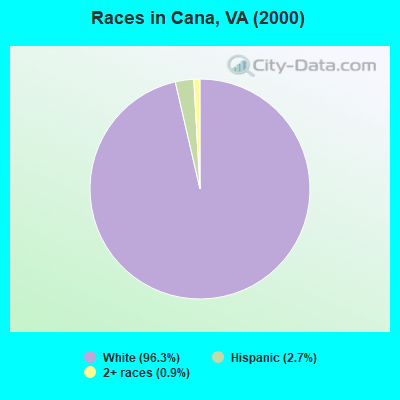 Races in Cana, VA (2000)