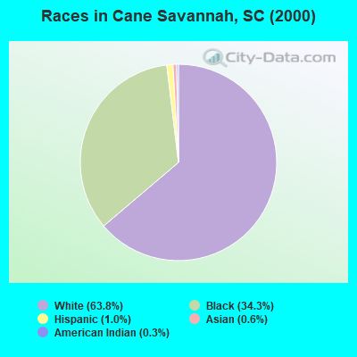 Races in Cane Savannah, SC (2000)
