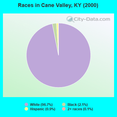Races in Cane Valley, KY (2000)