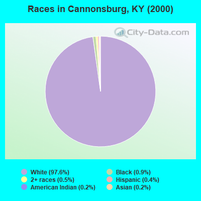 Races in Cannonsburg, KY (2000)