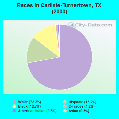 Races in Carlisle-Turnertown, TX (2000)