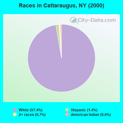 Races in Cattaraugus, NY (2000)
