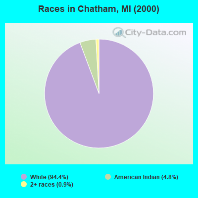 Races in Chatham, MI (2000)