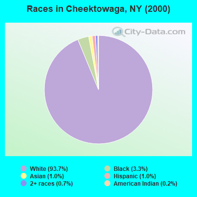 Races in Cheektowaga, NY (2000)