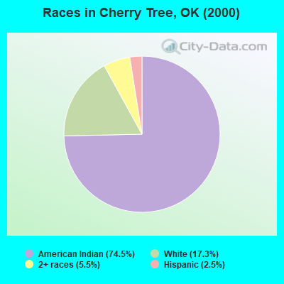 Races in Cherry Tree, OK (2000)