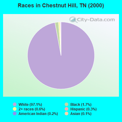 Races in Chestnut Hill, TN (2000)