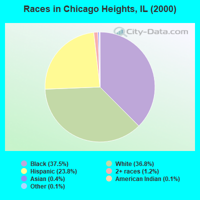 Races in Chicago Heights, IL (2000)