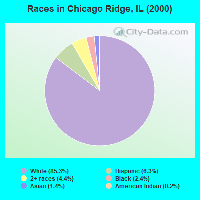Races in Chicago Ridge, IL (2000)