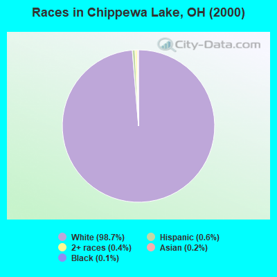 Races in Chippewa Lake, OH (2000)