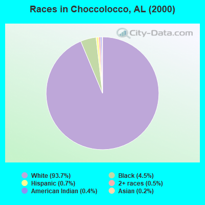 Races in Choccolocco, AL (2000)