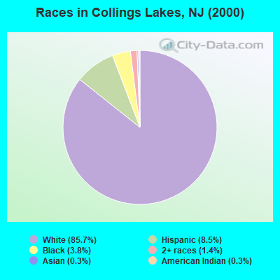 Races in Collings Lakes, NJ (2000)