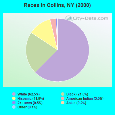 Races in Collins, NY (2000)