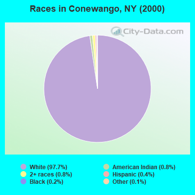 Races in Conewango, NY (2000)
