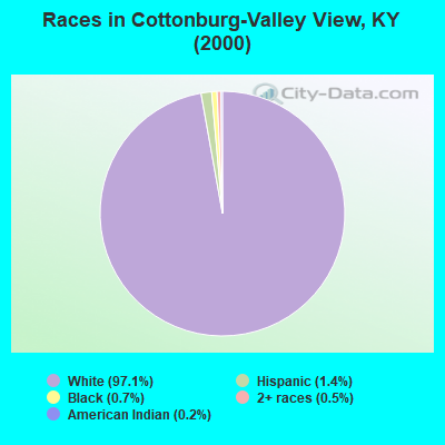 Races in Cottonburg-Valley View, KY (2000)
