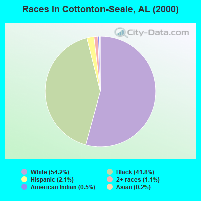 Races in Cottonton-Seale, AL (2000)