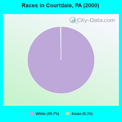 Races in Courtdale, PA (2000)