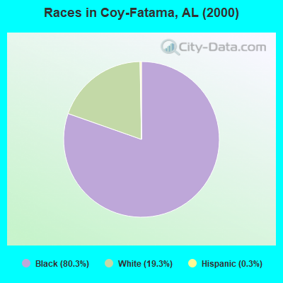 Races in Coy-Fatama, AL (2000)